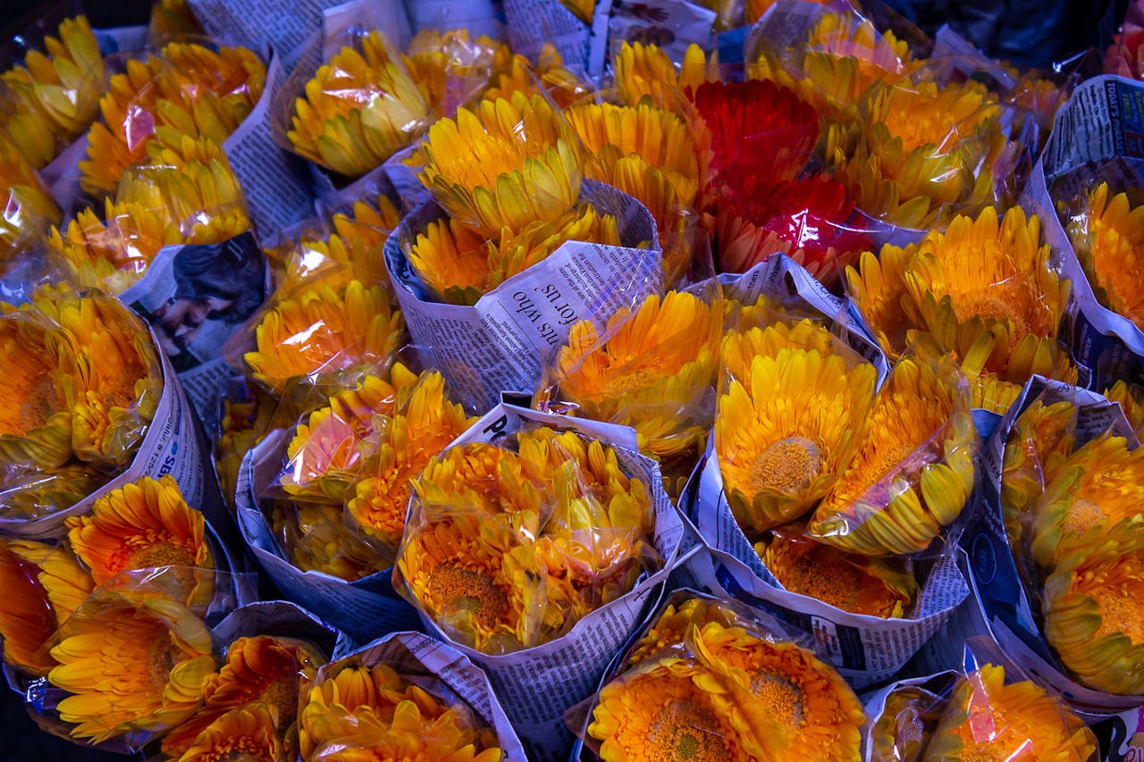 why-choose-us Colorful orange flower bouquets wrapped in newspaper at a market, showcasing vibrant gerbera daisies.